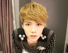 明星爆料范世琦视频合集,星光璀璨，笑点连连