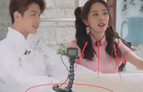 娱乐小花爆料视频,揭秘娱乐圈幕后真相 第2张 娱乐小花爆料视频,揭秘娱乐圈幕后真相 第2张