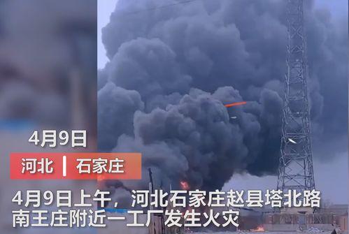 石家庄爆料事件真相视频,还原背后真相与真相背后的真相 第2张 石家庄爆料事件真相视频,还原背后真相与真相背后的真相 第2张